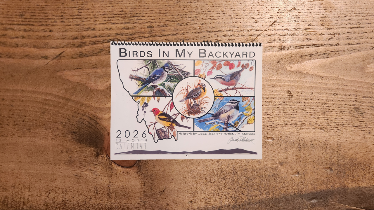 2026 Calendar, Birds In My Backyard